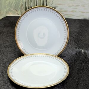 Hutschenreuther Selb Bavaria Superba Gold Rimmed Plates Pair Of 2